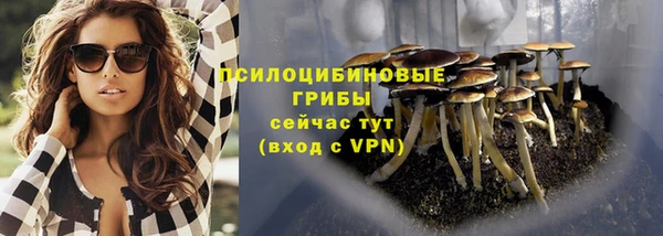 амф Богородск
