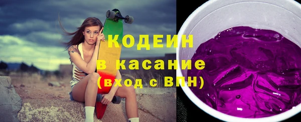 молекула духа Богородицк