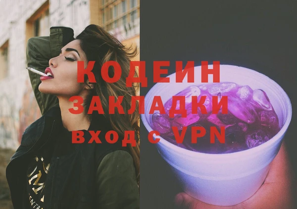 молекула духа Богородицк