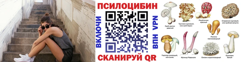 Галлюциногенные грибы GOLDEN TEACHER Северск