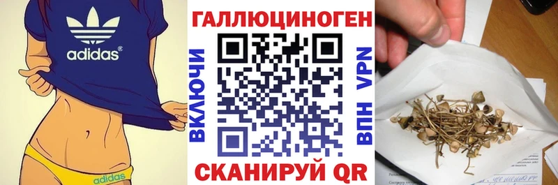 магазин    Северск  shop формула  Псилоцибиновые грибы мухоморы 