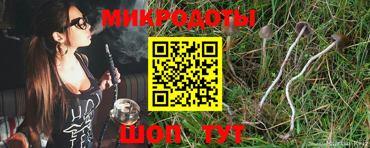 Псилоцибиновые грибы MAGIC MUSHROOMS  Вход с VPN  Северск 